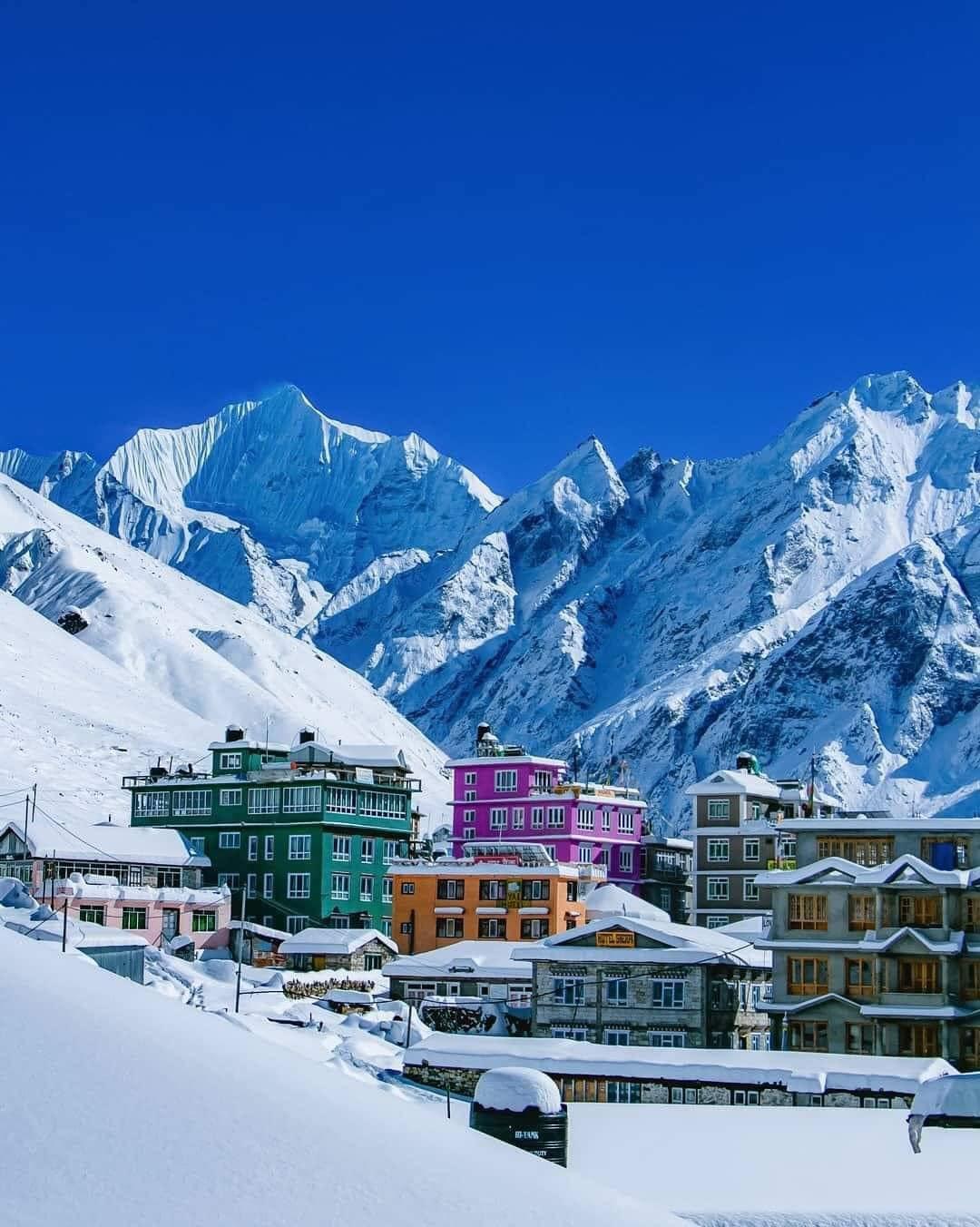 Trekking in Nepal image